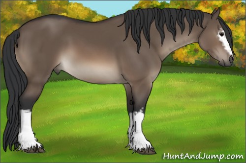 Horse Color:White Spotted Brown Dun 