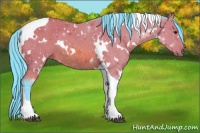 Horse Color:Watercolor White Spotted Bay Tobiano Rabicano 