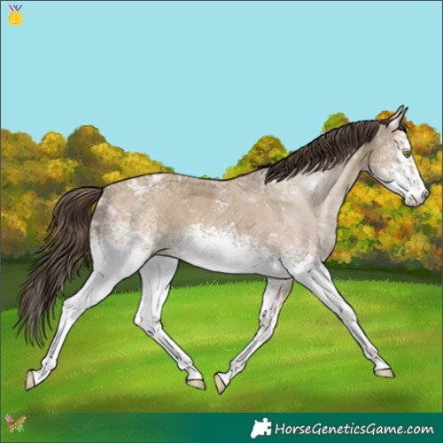 Horse Color:White Spotted Classic Cream Champagne Ice 