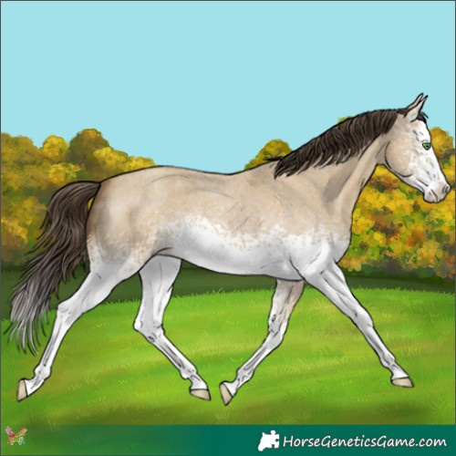 Horse Color:White Spotted Classic Cream Champagne Roan Dun Splash 