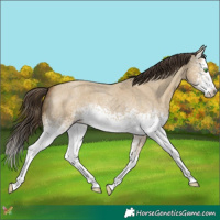 Horse Color:White Spotted Classic Cream Champagne Roan Dun Splash