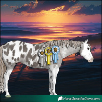 Horse Color:Smoky Grullo Sabino Splash Blanket