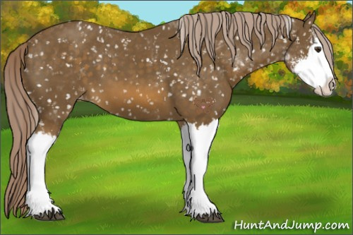 Horse Color:Chocolate Palomino Sabino Splash Snowflake Varnish