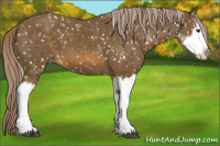 Horse Color:Chocolate Palomino Sabino Splash Snowflake Varnish