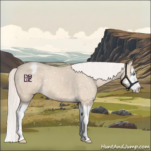 Horse Color:Cremello Sabino Splash Snowflake Varnish