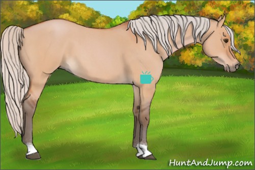 Horse Color:Silver Bay Roan Dun 