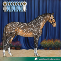 Horse Color:Buckskin Snowflake Varnish