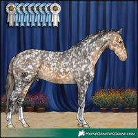 Horse Color:Buckskin Appaloosa