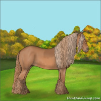 Horse Color:Chestnut  and Chestnut 