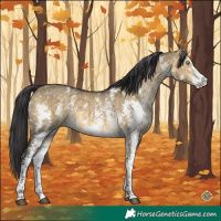 Horse Color:Buckskin Dun Sabino 