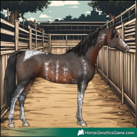 Horse Color:Brown Sabino Tobiano Rabicano