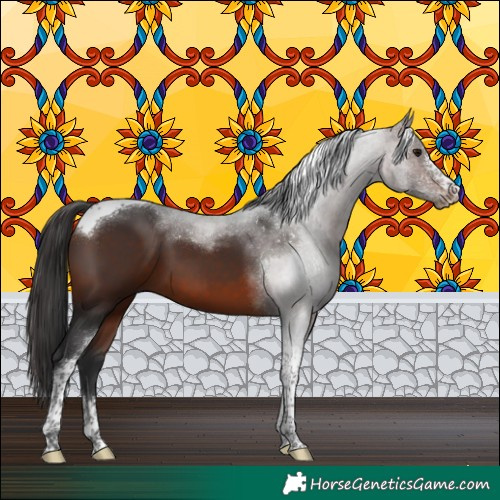 Horse Color:Brown Sabino Tobiano