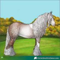 Horse Color:Gray Silver Black Pearl Tobiano 