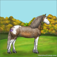 Horse Color:Chocolate Palomino Sabino Splash Snowcap 