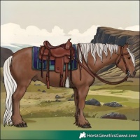 Horse Color:Silver Black