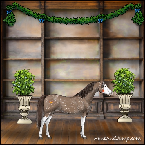 Horse Color:Liver Red Dun Sabino Splash Appaloosa 