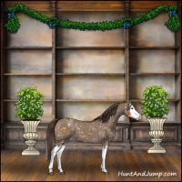 Horse Color:Liver Red Dun Sabino Splash Appaloosa 