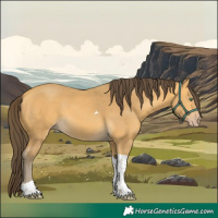 Horse Color:Amber Cream Champagne Tobiano 