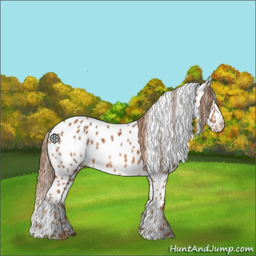 Horse Color:Chestnut Leopard 