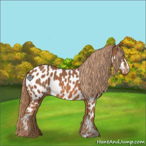 Horse Color:Chestnut Near Leopard