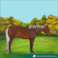 Horse Color:Silver Brown 