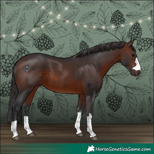 Horse Color:Brown 