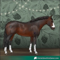 Horse Color:Brown 