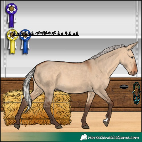 Horse Color:Silver Brown Dun 