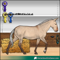Horse Color:Silver Brown Dun