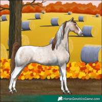 Horse Color:Liver Red Roan Pearl Tobiano Frame 