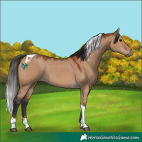 Horse Color:Bay Dun Tobiano Rabicano 