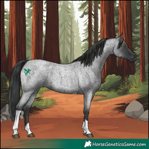 Horse Color:Blue Roan Tobiano 