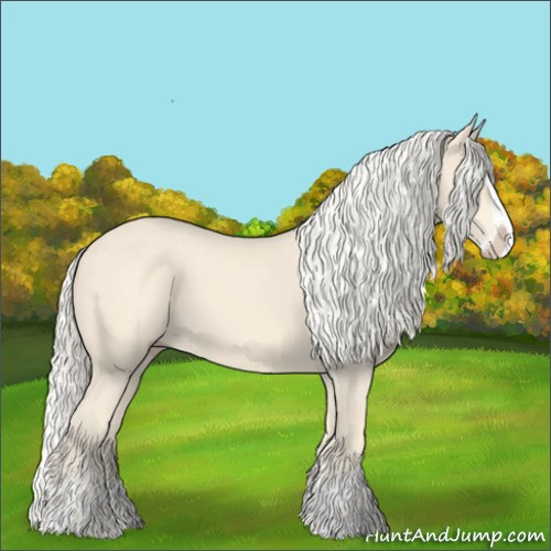 Horse Color:Cremello Splash and Cremello Splash