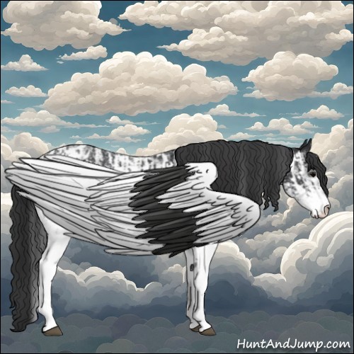 Horse Color:White Spotted Blue Roan Rabicano and White Spotted Blue Roan Near Leopard Rabicano