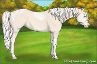 Horse Color:Cremello Splash  and Cremello Splash Tobiano 