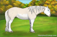 Horse Color:Cremello Splash  and Cremello Splash 