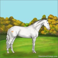 Horse Color:Cremello Dun Splash  and Cremello Dun Splash 