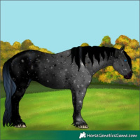 Horse Color:ERROR: UNKNOWN ANOMALY
