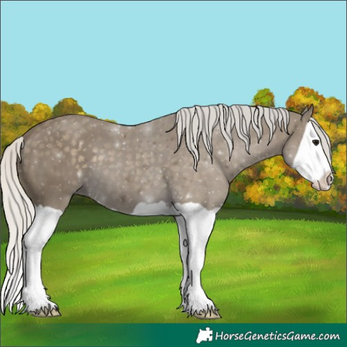 Horse Color:Silver Smoky Black Splash 