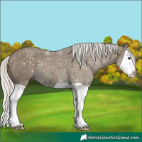 Horse Color:Silver Smoky Black Splash