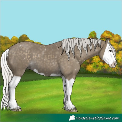 Horse Color:Silver Smoky Black Splash