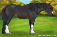 Horse Color:Brown 