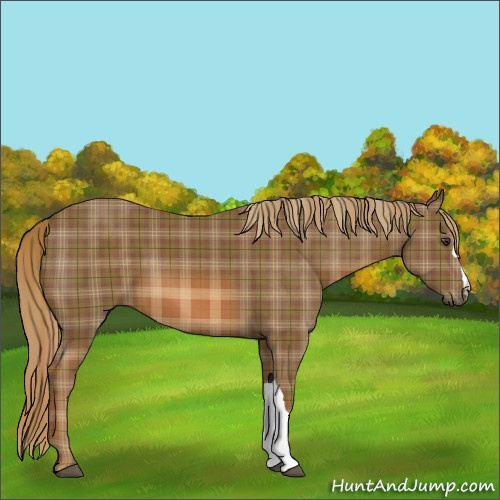 Horse Color:Plaid  Chestnut 