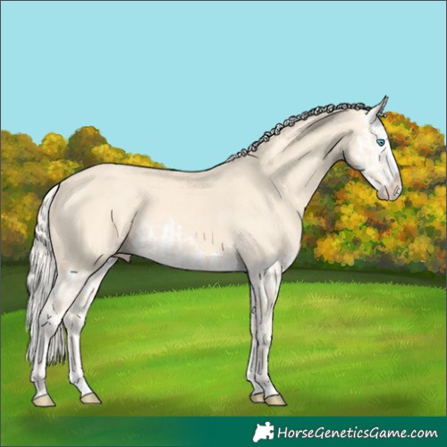 Horse Color:Cremello Splash  and Cremello Splash 