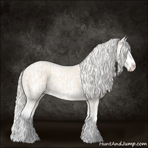Horse Color:Cremello Splash  and Cremello Splash Appaloosa 