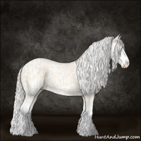 Horse Color:Cremello Splash  and Cremello Splash Appaloosa 