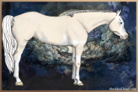 Horse Color:Cremello Splash  and Cremello Splash 