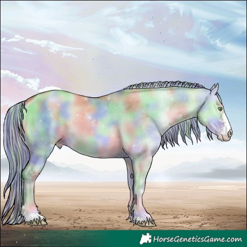 Horse Color:Painted Nacre Chocolate Palomino Pearl Onyx Sabino 