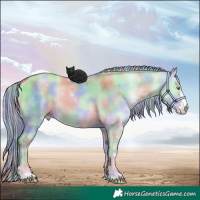Horse Color:Painted Nacre Chocolate Palomino Pearl Onyx Sabino 