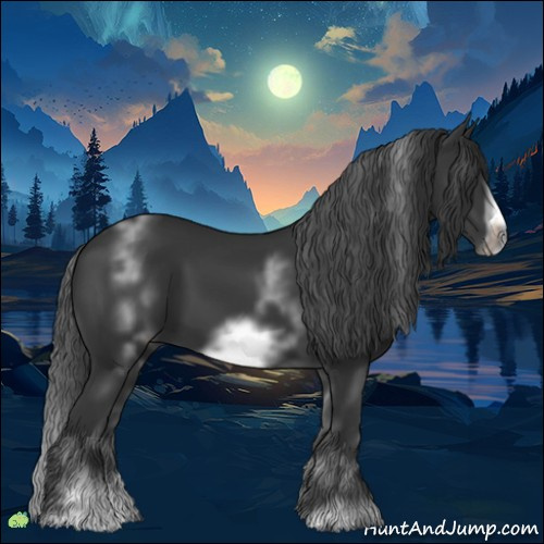 Horse Color:White Spotted Black Sabino Frame 